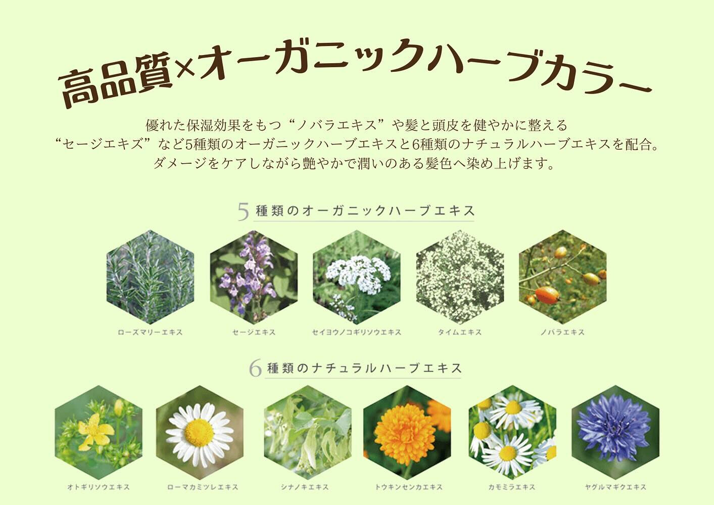 【リフュールカラーの魅力✨】